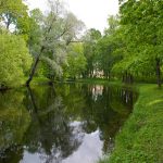 נהר ביער, סנט פטרסבורג - צילום - סנט פטרסבורג, רוסיה, סנט פטרסבורג - רוסיה