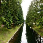 בוקר בסנט פטרסבורג - צילום