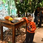 Switzerland - travel photo