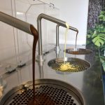 Switzerland - travel photo