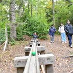 היער השחור, גרמניה - צילום מטיול