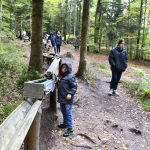 היער השחור, גרמניה - צילום מטיול