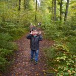 היער השחור, גרמניה - צילום מטיול