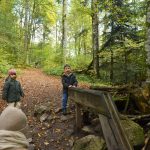 היער השחור, גרמניה - צילום מטיול