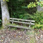 היער השחור, גרמניה - צילום מטיול