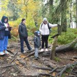 היער השחור, גרמניה - צילום מטיול