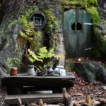 היער השחור, גרמניה - צילום מטיול