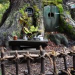 היער השחור, גרמניה - צילום מטיול