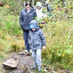 היער השחור, גרמניה - צילום מטיול