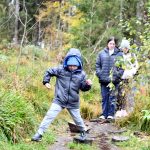 היער השחור, גרמניה - צילום מטיול