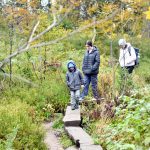 היער השחור, גרמניה - צילום מטיול