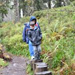 היער השחור, גרמניה - צילום מטיול