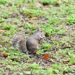 Switzerland - travel photo