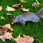 Switzerland - travel photo