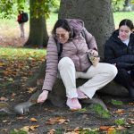 Switzerland - travel photo