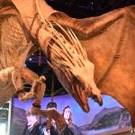 לונדון, אנגליה - צילום מטיול