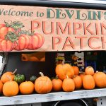 לונדון, אנגליה - צילום מטיול