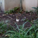 London, UK - travel photo