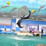 London, UK - travel photo